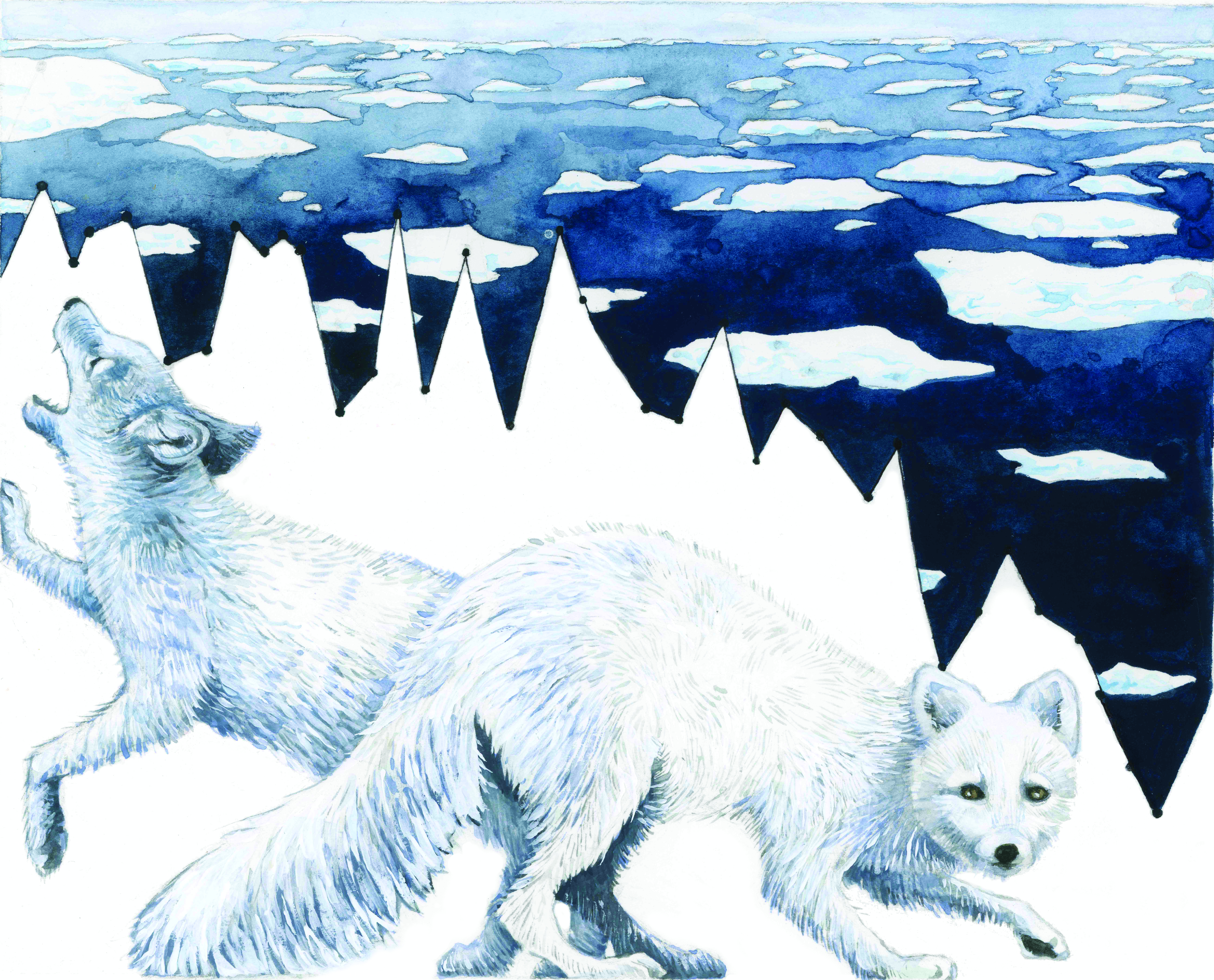 Habitat Degradation_ Arctic Sea Ice Melt